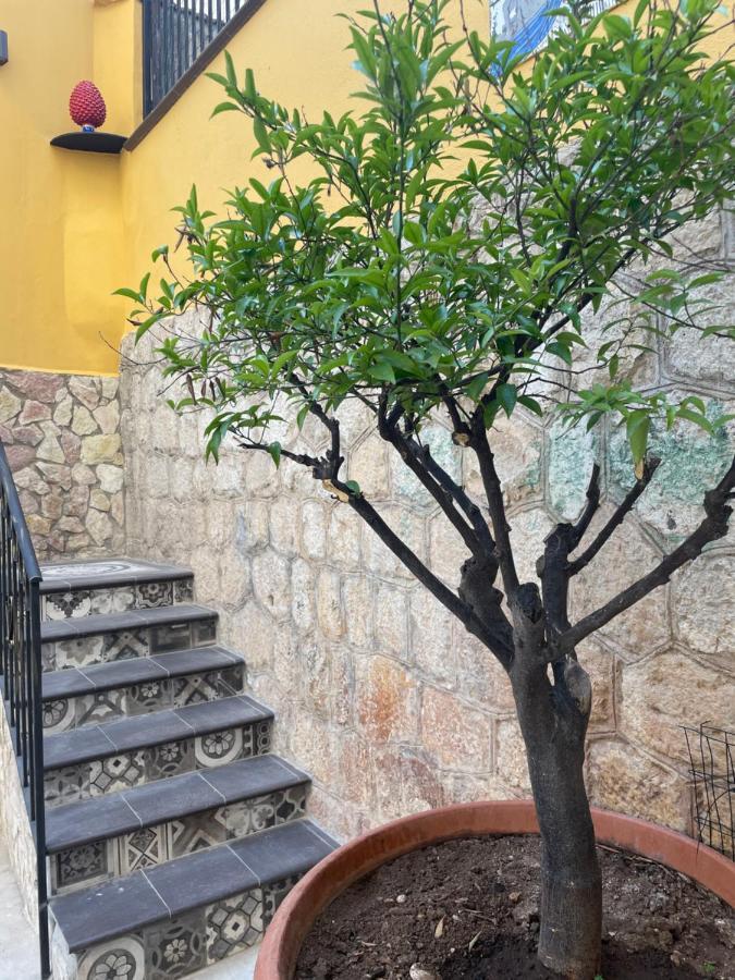 Casa Vacanze Donna Pina Palermo Bagian luar foto